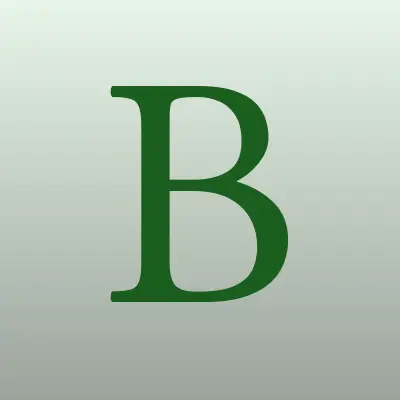 BetBoom, букмекерская компания, лого-визитка