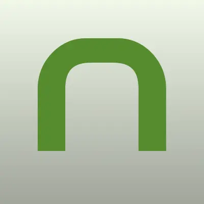 Nice voice records, студия звукозаписи, лого-визитка