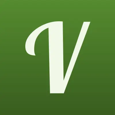 Viva деньги, микрофинансовая компания, лого-визитка